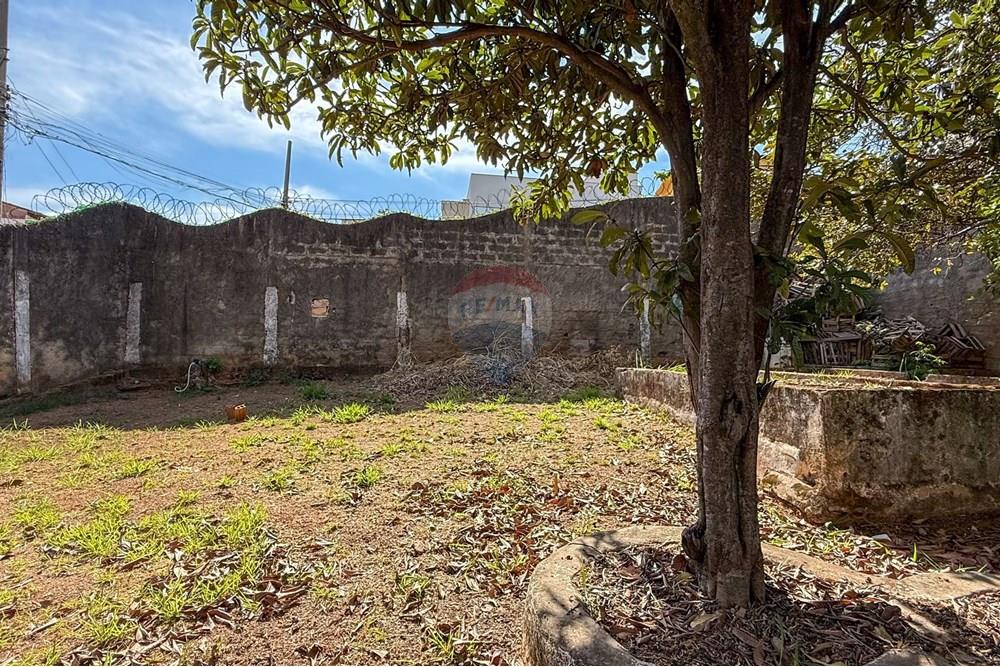 Terreno - Venda - Belo Horizonte , Minas Gerais - IMG_1798.jpg - 870351012-218