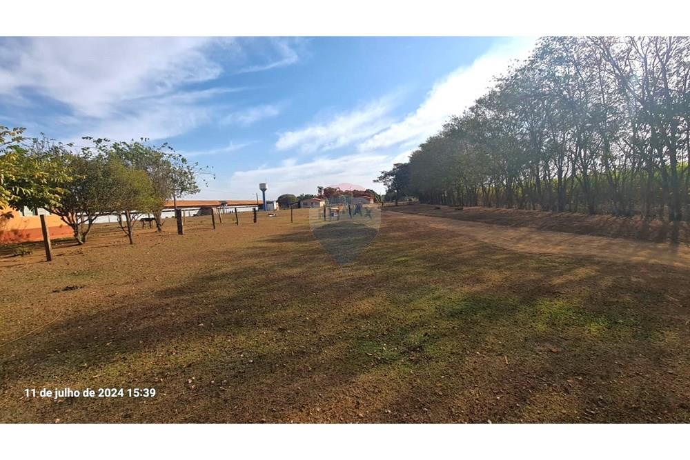 Chácara / Sítio / Fazenda - Venda - Uberaba , Minas Gerais -  (29).jpeg - 870291025-115