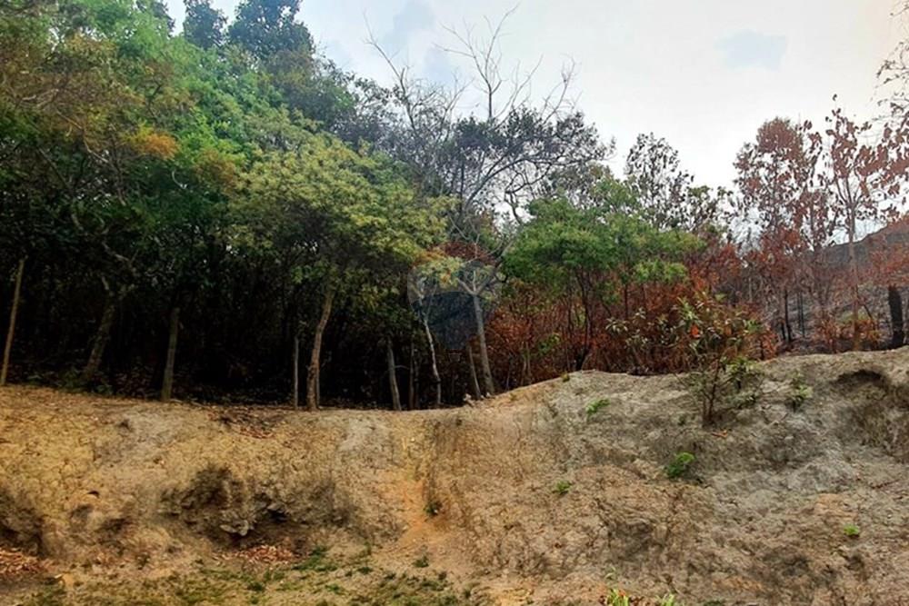 Chácara / Sítio / Fazenda - Venda - Nova Lima , Minas Gerais - Foto Sítio fundo da mata campo do Pires.jpg - 870241097-13