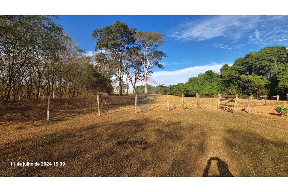 Chácara / Sítio / Fazenda - Venda - Uberaba , Minas Gerais -  (27).jpeg - 870291025-115