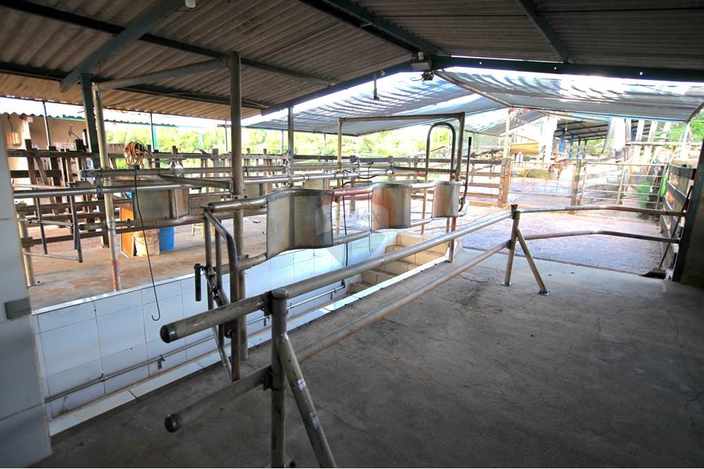 Chácara / Sítio / Fazenda - Venda - Araxá , Minas Gerais - IMG_2452.JPG - 870431039-25