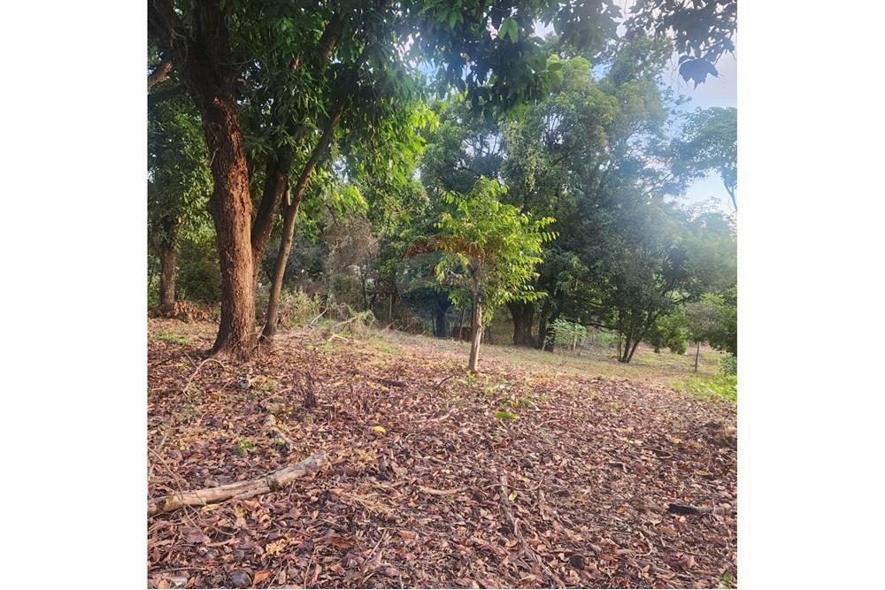 Terreno - Venda - Matozinhos , Minas Gerais - 297c021e-e257-487f-8db1-73d21daf9e5c.jpeg - 870241024-58