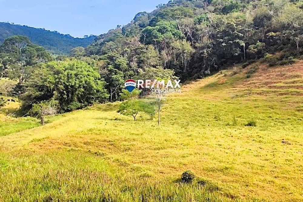 Chácara / Sítio / Fazenda - Venda - Ipanema , Minas Gerais - 2_IMG_20240515_093355_watermark_dom._23062024_100619.jpg - 870451001-122