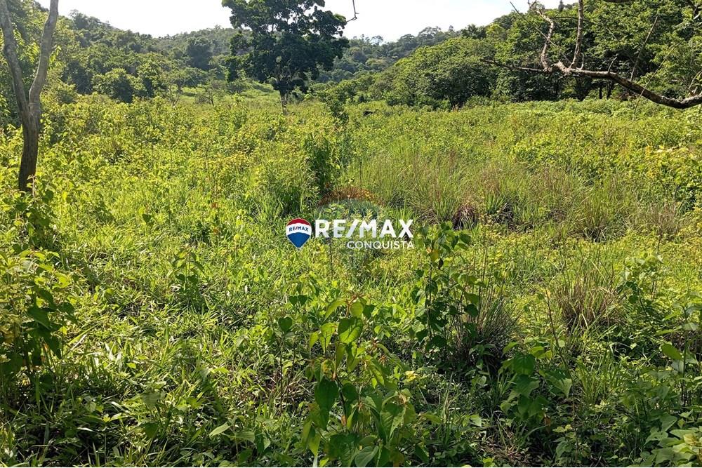 Chácara / Sítio / Fazenda - Venda - Pocrane , Minas Gerais - 0_IMG_20241203_082318_watermark_sex._13122024_134939.jpg - 870451001-114