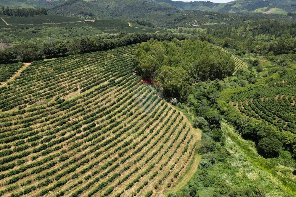 Chácara / Sítio / Fazenda - Venda - São Sebastião da Grama , São Paulo - DJI_0704.JPG - 870361041-98