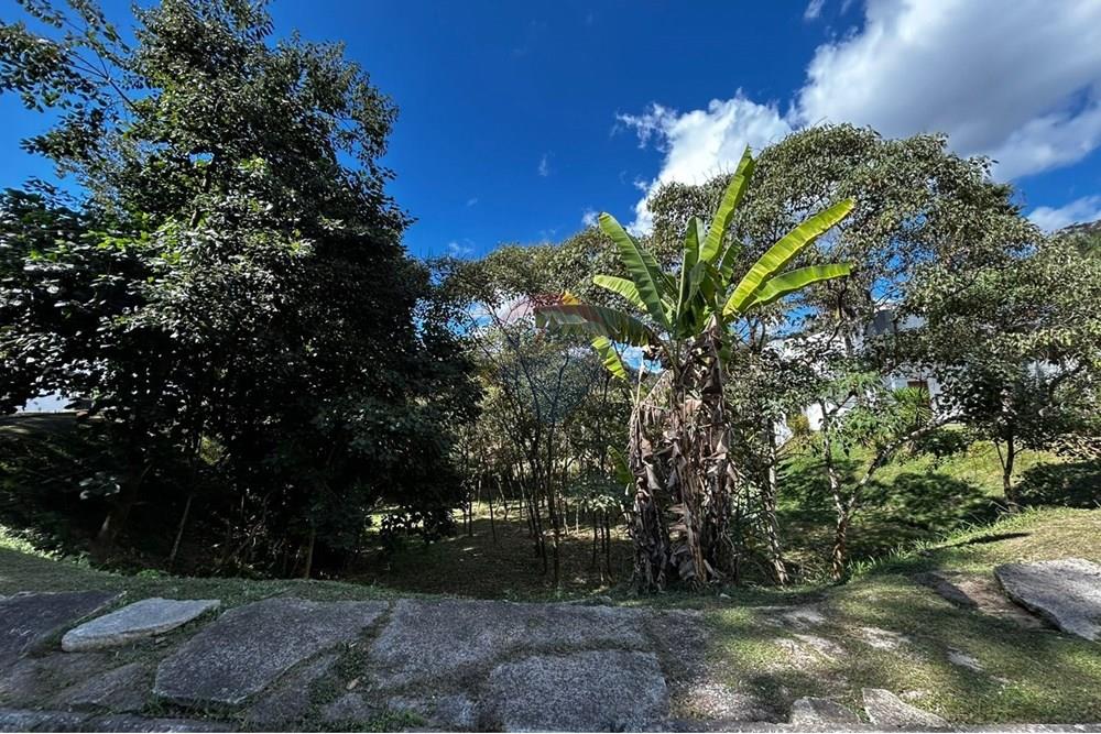 Chácara / Sítio / Fazenda - Venda - Sarzedo , Minas Gerais - lote13003.jpg - 870351054-22