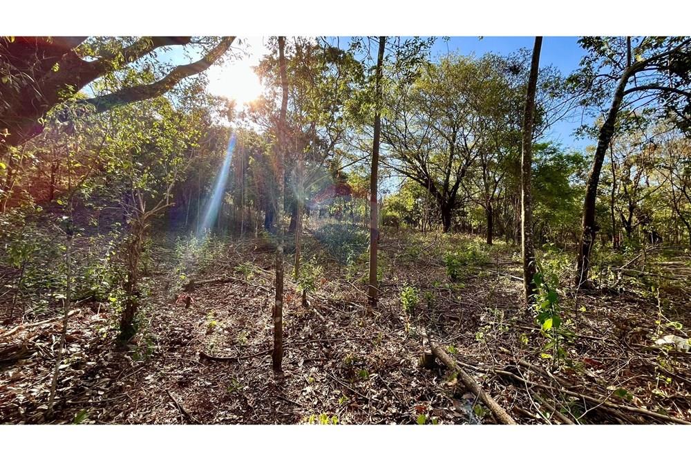 Terreno - Venda - Nova Lima , Minas Gerais - WhatsApp Image 2025-10-23 at 11.25.21.jpeg - 870351032-22