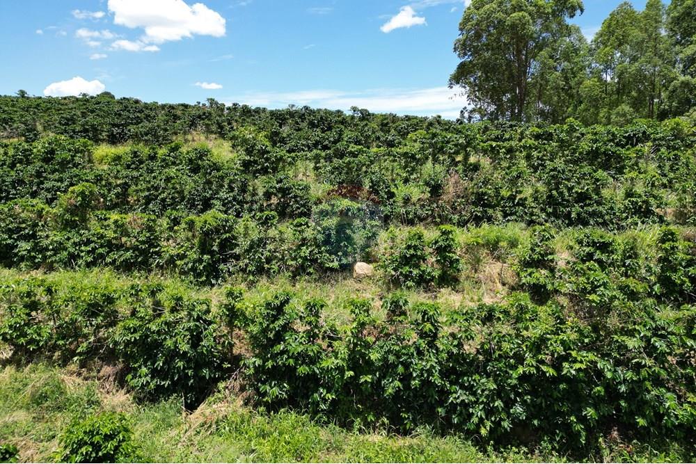 Chácara / Sítio / Fazenda - Venda - São Sebastião da Grama , São Paulo - DJI_0739.JPG - 870361041-98