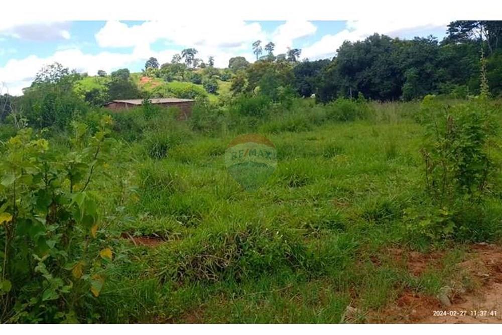 Chácara / Sítio / Fazenda - Venda - Alpercata , Minas Gerais - WhatsApp Image 2024-02-27 at 11.49.07 (2).jpeg - 870671001-154