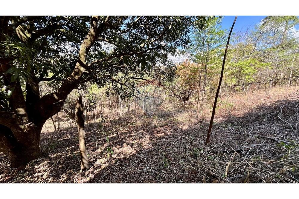 Terreno - Venda - Nova Lima , Minas Gerais - WhatsApp Image 2025-10-23 at 11.17.24 (3).jpeg - 870351032-22