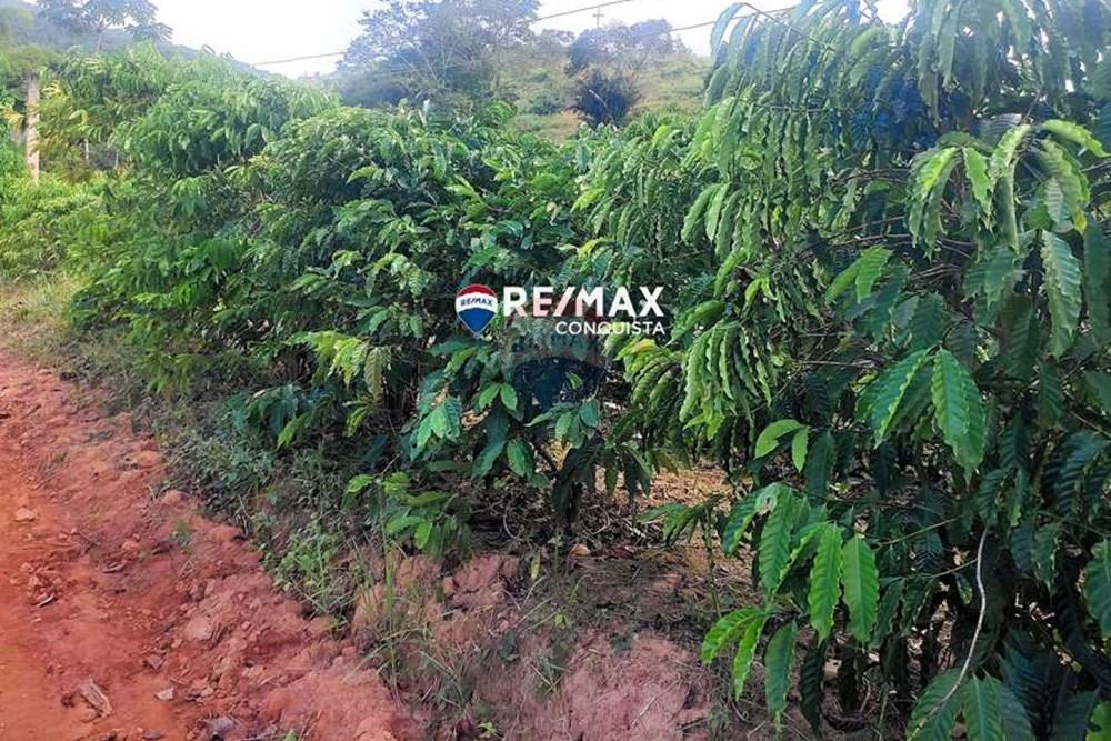 Chácara / Sítio / Fazenda - Venda - Ipanema , Minas Gerais - 6_IMG_20240515_081325_watermark_dom._23062024_100053.jpg - 870451001-121