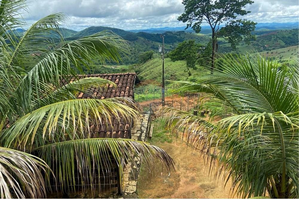 Chácara / Sítio / Fazenda - Venda - Santana do Paraíso , Minas Gerais - IMG-20250327-WA0038.jpg - 870711007-42