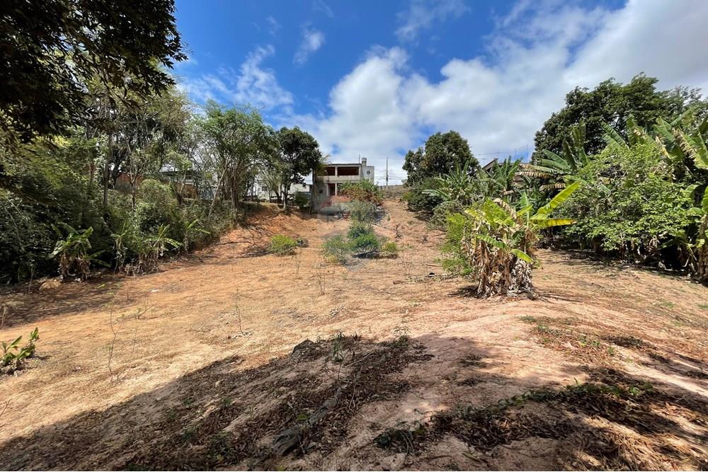 Casa - Venda - Belo Horizonte , Minas Gerais - IMG_1499.jpg - 870411117-17