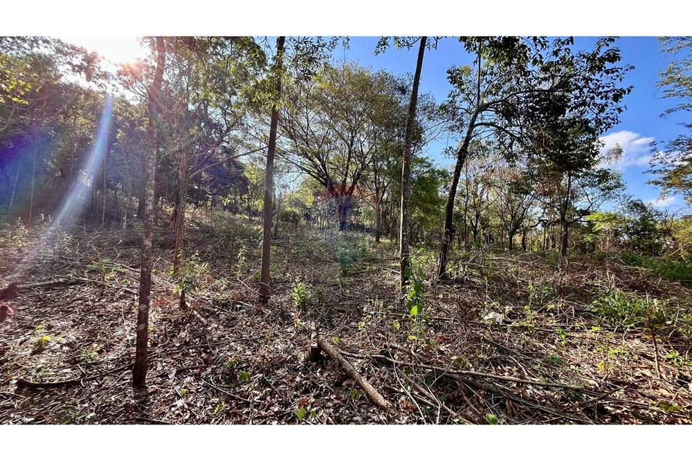 Terreno - Venda - Nova Lima , Minas Gerais - WhatsApp Image 2025-10-23 at 11.25.21 (1).jpeg - 870351032-22