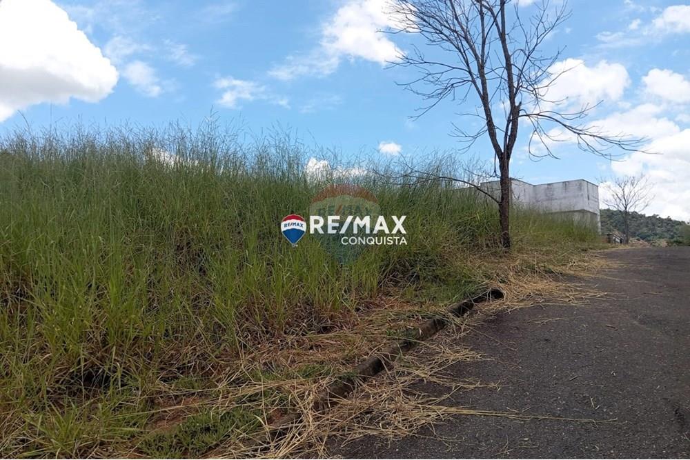 Chácara / Sítio / Fazenda - Venda - Ipanema , Minas Gerais - WhatsApp Image 2025-02-19 at 16.28.35(2).jpeg - 870451013-54