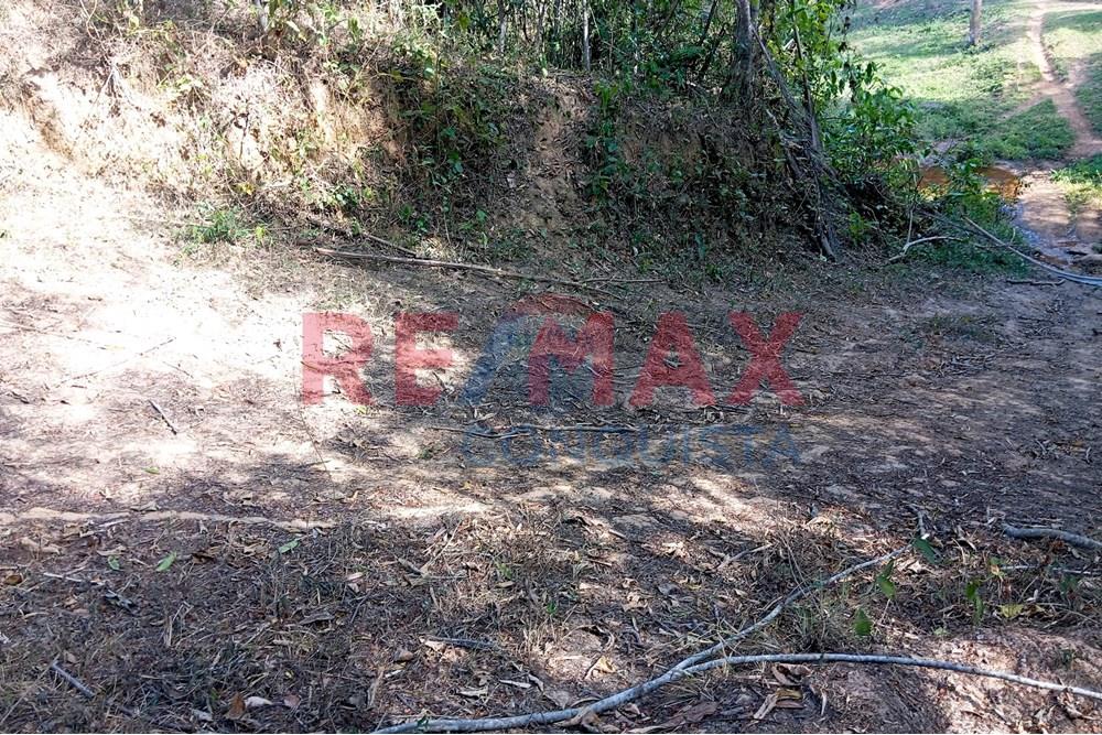 Chácara / Sítio / Fazenda - Venda - Ipanema , Minas Gerais - 7_image_7_watermark_seg._15092025_150605.jpg - 870451013-72