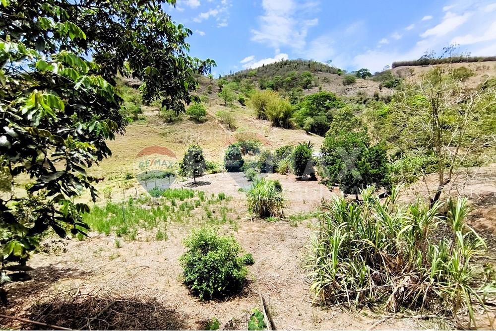 Chácara / Sítio / Fazenda - Venda - Ipanema , Minas Gerais - 2_image_2_watermark_qua._29102025_111817.jpg - 870451004-107