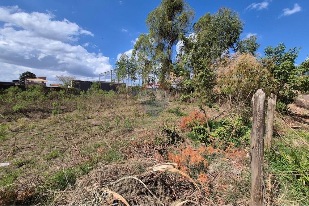 Terreno - Venda - Nova Lima , Minas Gerais - Foto 14.jpeg - 870421061-60