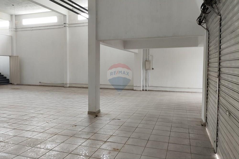 Galpão - Venda - Ribeirão das Neves , Minas Gerais - IMG_20250505_114550.jpg - 870421081-7