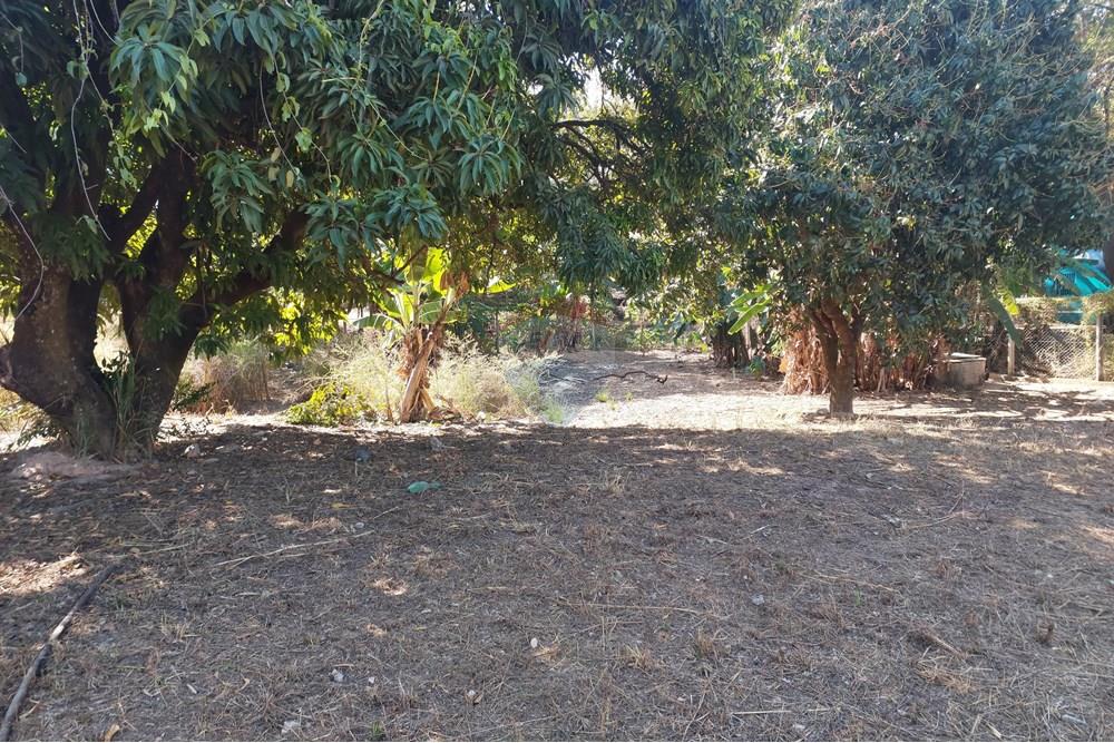 Terreno - Venda - Contagem , Minas Gerais - 20250909_145425.jpg - 870241162-7