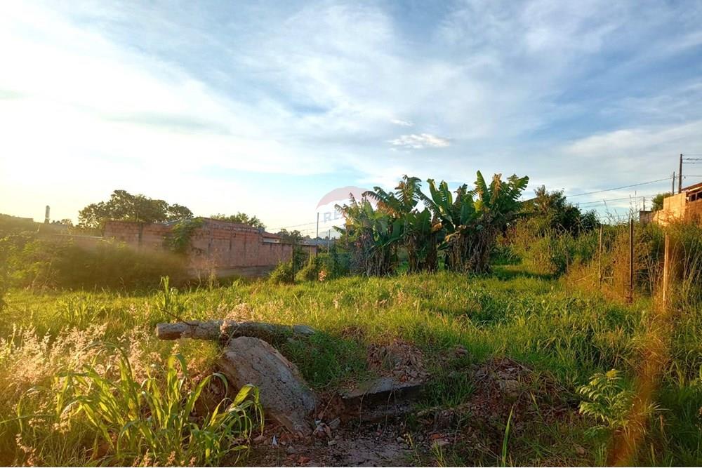 Terreno - Venda - Uberaba , Minas Gerais - 03.jpeg - 870291025-93