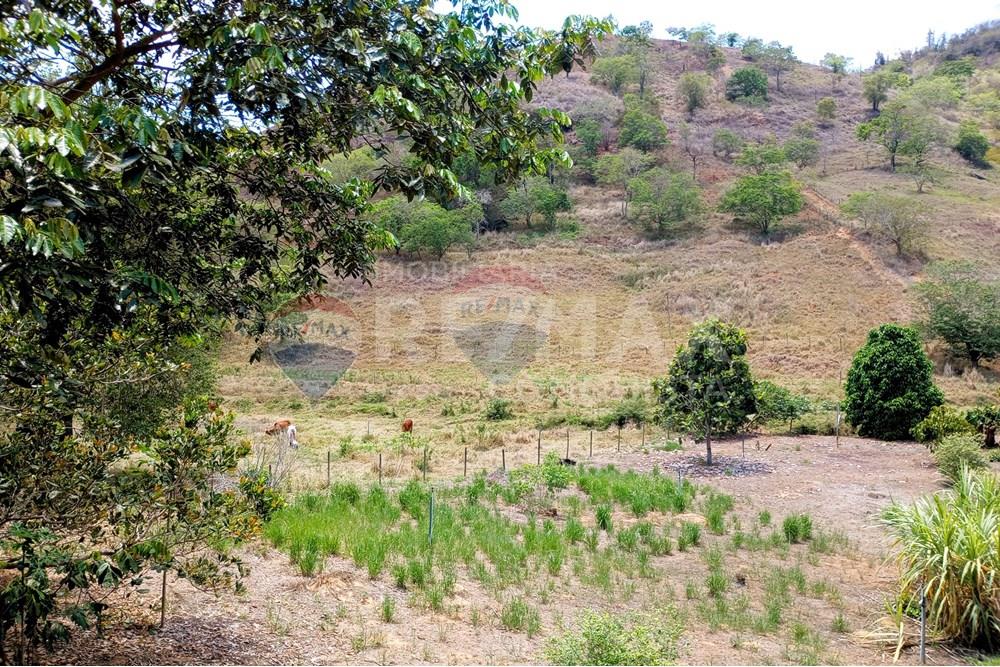 Chácara / Sítio / Fazenda - Venda - Ipanema , Minas Gerais - 1_image_1_watermark_qua._29102025_111949.jpg - 870451004-107