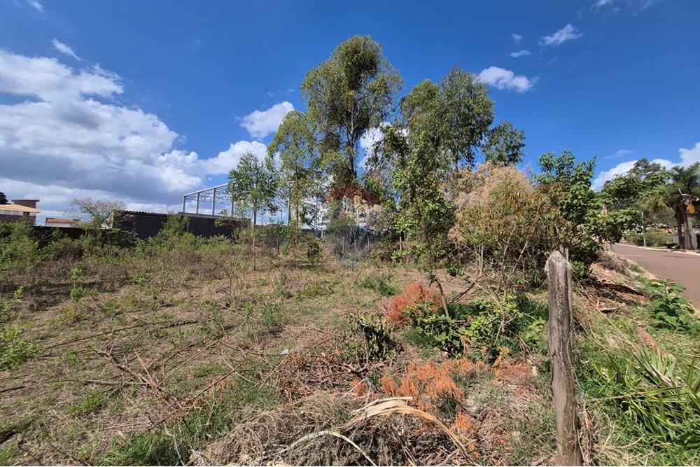 Terreno - Venda - Nova Lima , Minas Gerais - Foto 3.jpeg - 870421061-61