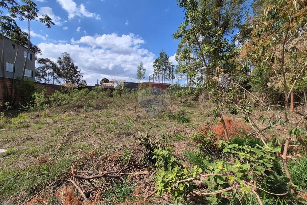 Terreno - Venda - Nova Lima , Minas Gerais - Foto 11.jpeg - 870421061-60