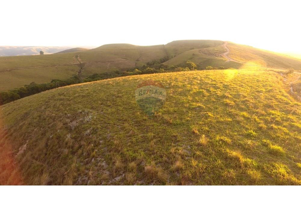 Fazenda - Venda - São Roque de Minas , Minas Gerais - DJI_0056.JPG - 870431039-50