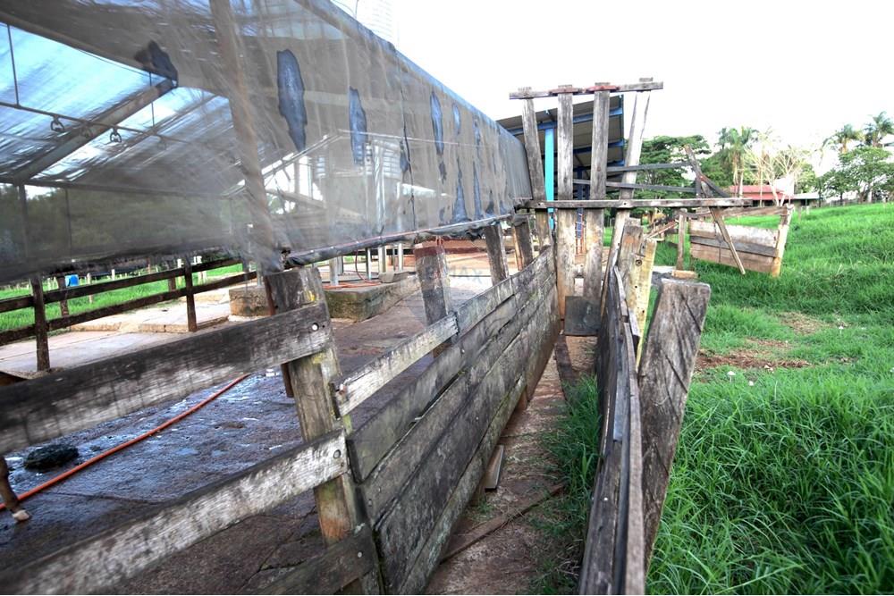 Chácara / Sítio / Fazenda - Venda - Araxá , Minas Gerais - IMG_2445.JPG - 870431039-25