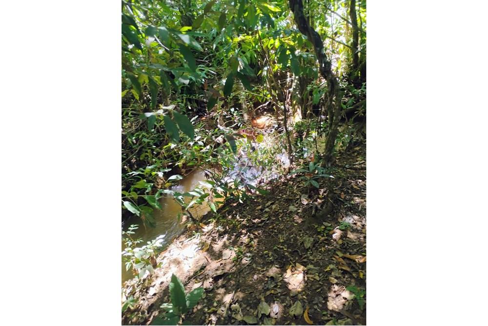 Chácara / Sítio / Fazenda - Venda - Perdizes , Minas Gerais - 1000372453.jpg - 870431028-37