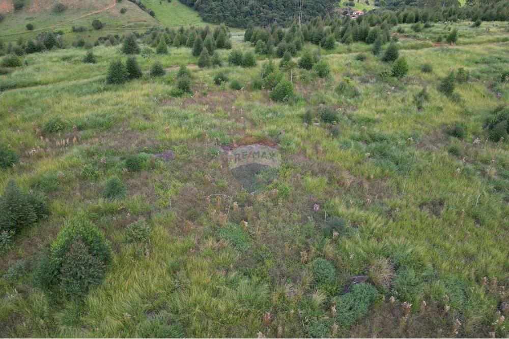 Fazenda - Venda - Bandeira do Sul , Minas Gerais - DJI_0815.JPG - 870361041-103