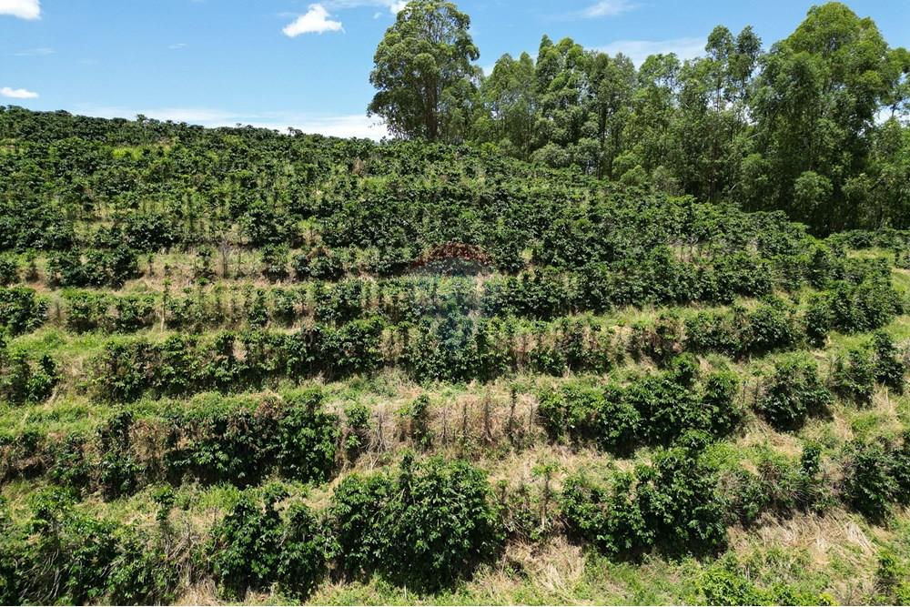 Chácara / Sítio / Fazenda - Venda - São Sebastião da Grama , São Paulo - DJI_0738.JPG - 870361041-98