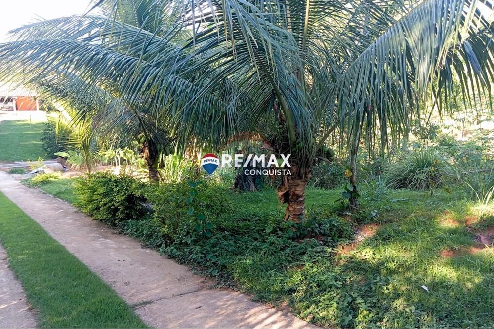 Chácara / Sítio / Fazenda - Venda - Ipanema , Minas Gerais - WhatsApp Image 2025-04-12 at 14.30.53(1).jpeg - 870451013-60