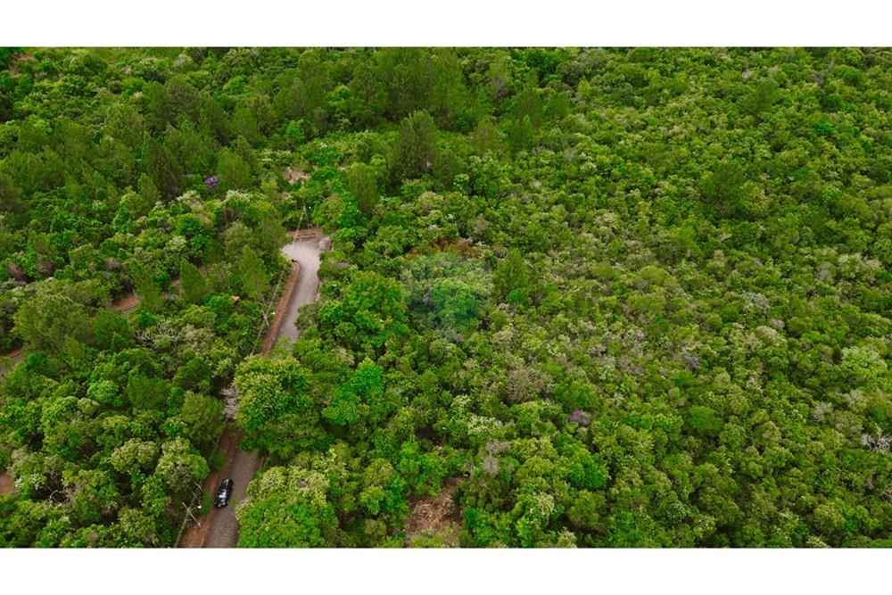 Terreno - Venda - Brumadinho , Minas Gerais - 2.jpg - 870241100-81