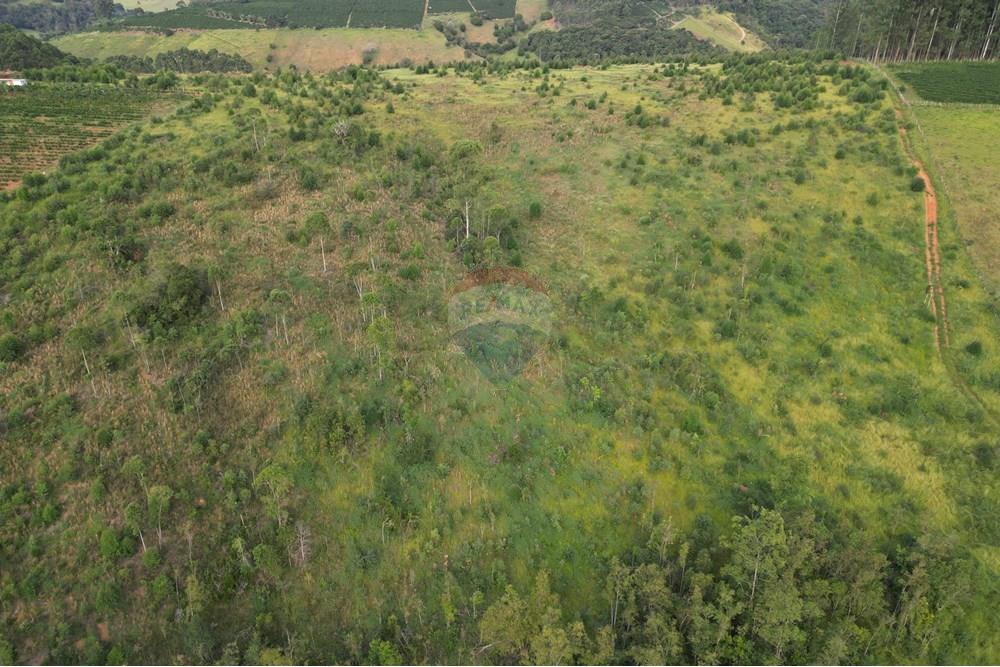 Fazenda - Venda - Bandeira do Sul , Minas Gerais - DJI_0842.JPG - 870361041-103