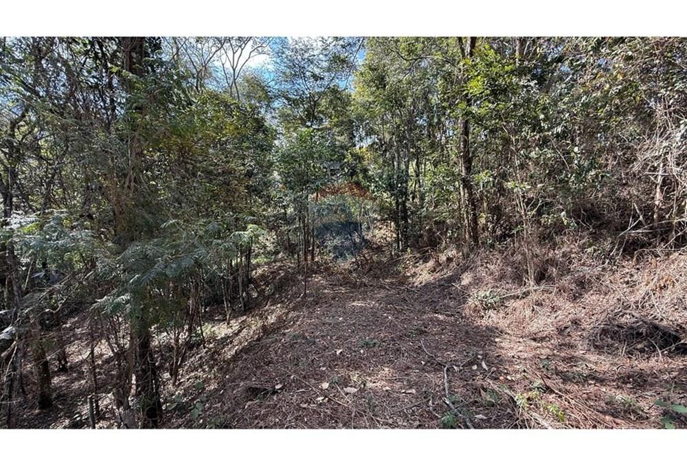 Terreno - Venda - Nova Lima , Minas Gerais - IMG_1414.jpg - 870351059-18