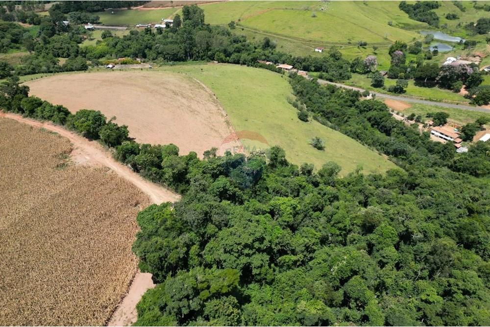 Chácara / Sítio / Fazenda - Venda - Botelhos , Minas Gerais - WhatsApp Image 2025-07-09 at 15.43.49.jpeg - 870361041-116