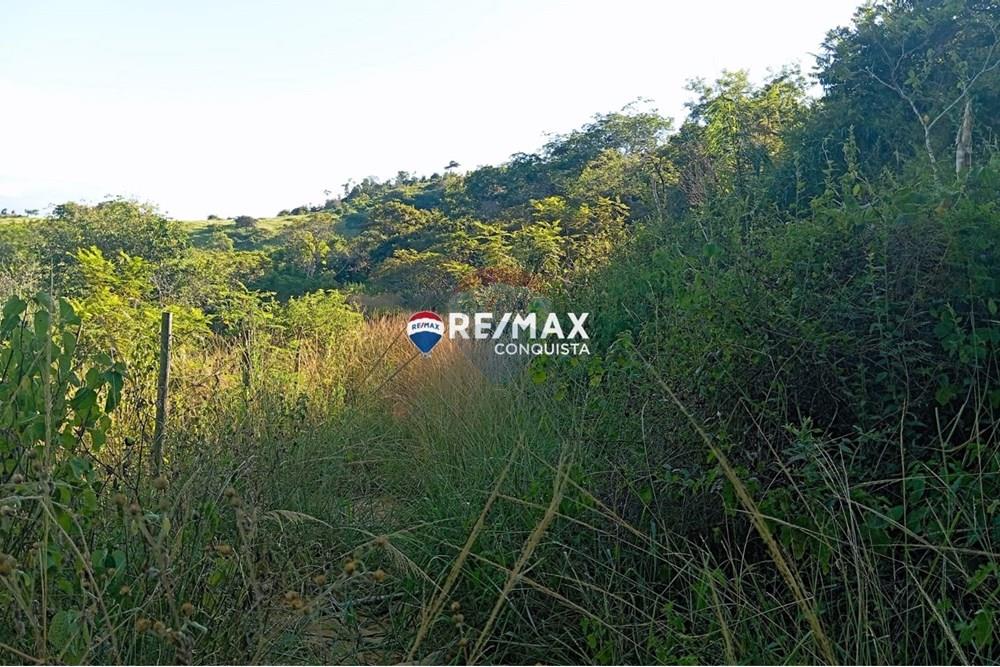 Chácara / Sítio / Fazenda - Venda - Pocrane , Minas Gerais - WhatsApp Image 2025-04-08 at 09.40.29(4).jpeg - 870451001-124