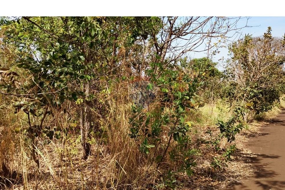 Chácara / Sítio / Fazenda - Venda - Uberaba , Minas Gerais - W2.jpeg - 870291037-16