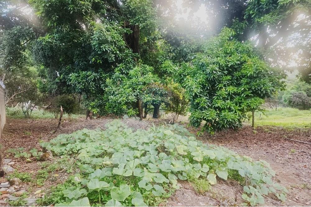 Terreno - Venda - Matozinhos , Minas Gerais - lote mtz01 (12).jpeg - 870241024-58