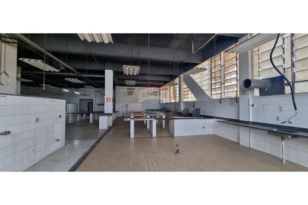 Ponto Comercial/ Loja - Alugar - Belo Horizonte , Minas Gerais - 20240911_101453.jpg - 870251062-79