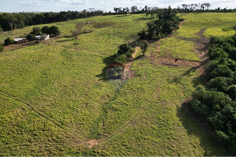 Fazenda - Venda - Uberaba , Minas Gerais - B10.jpeg - 870291037-12