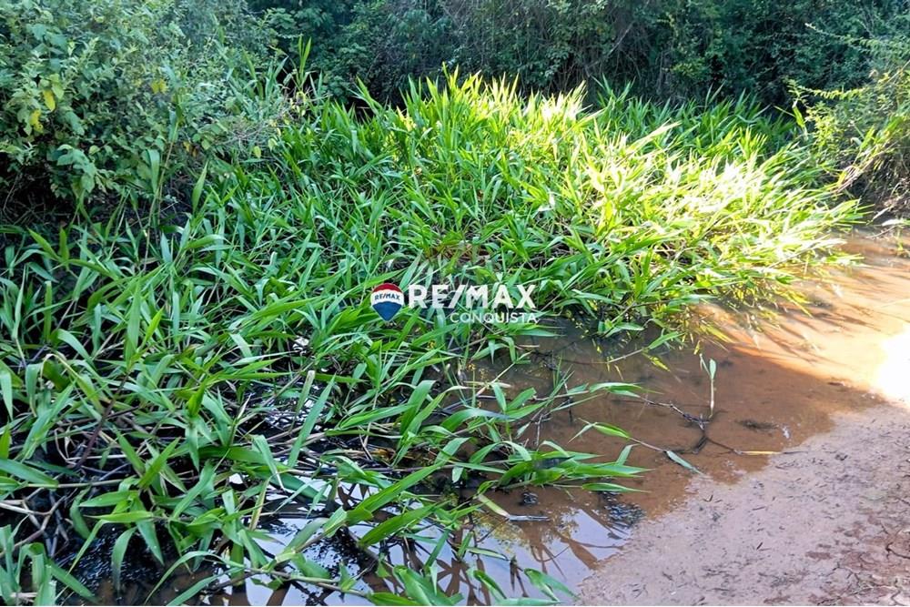 Chácara / Sítio / Fazenda - Venda - Pocrane , Minas Gerais - WhatsApp Image 2025-04-08 at 09.40.30.jpeg - 870451001-124