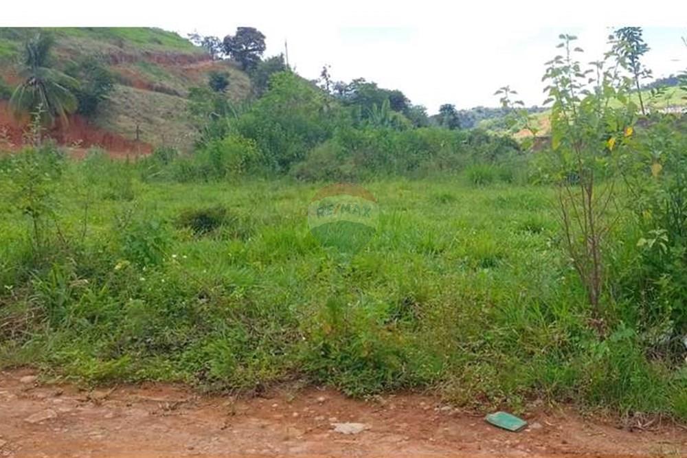 Chácara / Sítio / Fazenda - Venda - Alpercata , Minas Gerais - WhatsApp Image 2024-02-27 at 11.49.07 (1).jpeg - 870671001-154