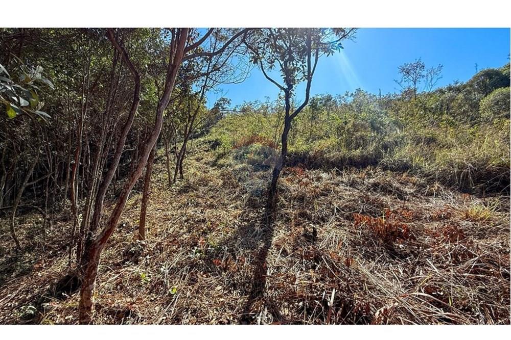 Terreno - Venda - Nova Lima , Minas Gerais - IMG_2077.jpg - 870351059-17