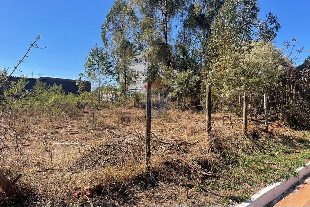 Terreno - Venda - Nova Lima , Minas Gerais - Foto 17.jpeg - 870421061-61