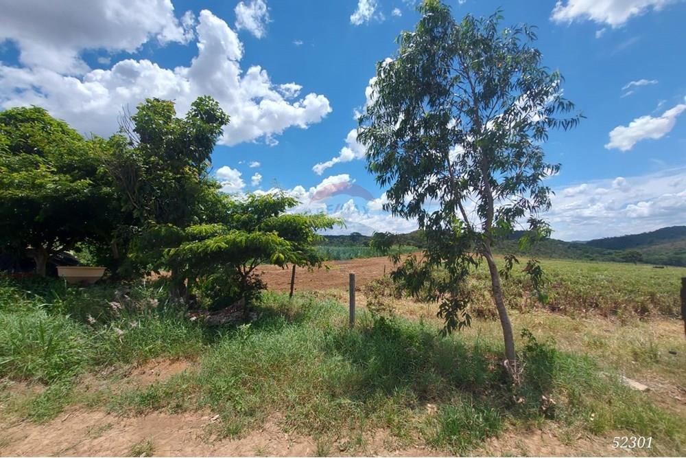 Chácara / Sítio / Fazenda - Venda - Perdizes , Minas Gerais - WhatsApp Image 2025-02-25 at 19.54.56.jpeg - 870431028-37