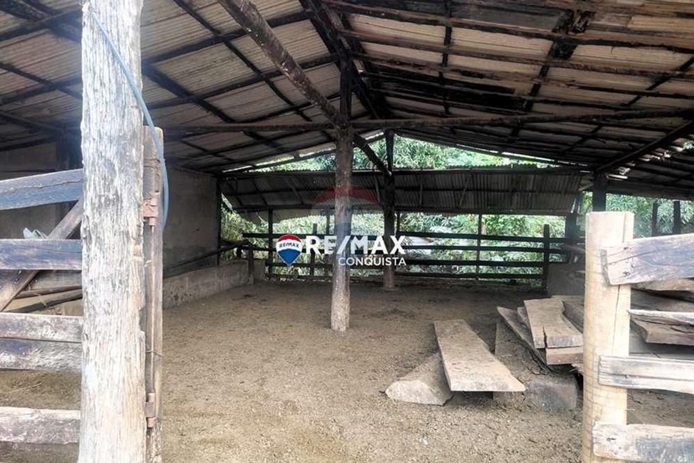 Chácara / Sítio / Fazenda - Venda - Ipanema , Minas Gerais - 7_IMG_20240515_082025_watermark_dom._23062024_100003.jpg - 870451001-121