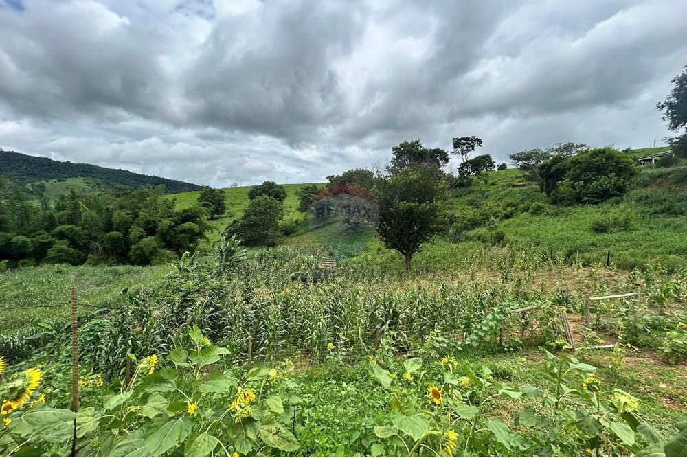 Chácara / Sítio / Fazenda - Venda - Governador Valadares , Minas Gerais - IMG_7896.JPEG - 870671017-71